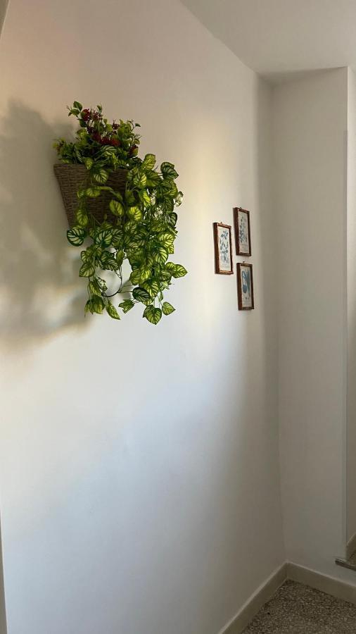 Santa Lucia Affittacamere Lamezia Terme Kültér fotó